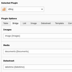 Brücken bauen mit TYPO3 xBlog: Feldbezeichnungen für Bilder, Dateien und Kalenderblätter 