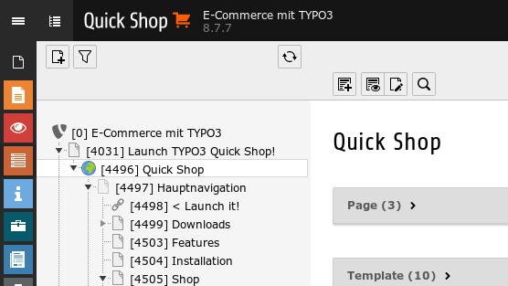 Quick Shop für TYPO3 8.7: Backend 