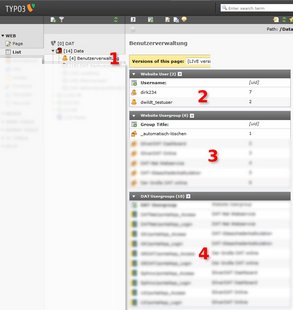 TYPO3-Benutzerverwaltung 